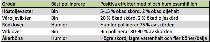 Blanda tidiga sorter med sena. Det gör att humlor och bin får tag i nektar från tidig vår till sen höst. Då trivs de och stannar kvar i området.