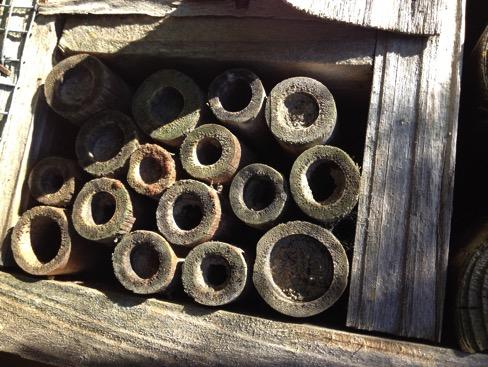 23 Figur 7. Bibatteri av bamburör. Foto: Michael Johansson Hyra bikupor För att öka mängden pollinerare kan man hyra in bikupor.