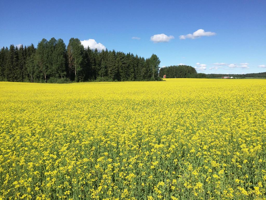 Juridiskt bindande fastighetsgränser i Sverige Kristin Land,