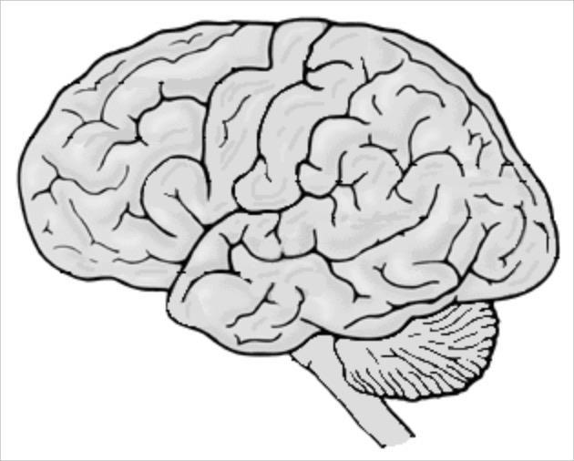 Kognition - hjärnans sätt att ta emot och bearbeta information Hjärnans sätt att tänka, förstå, lära, planera, kommunicera och hantera socialt samspel Den största delen av