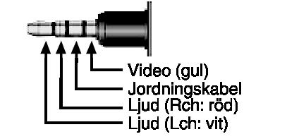 AV-kabel (medföljer: E3A-0085-00) Specifikationer för kabeldragning (för video/ljud) för den 4-poliga minikontakten