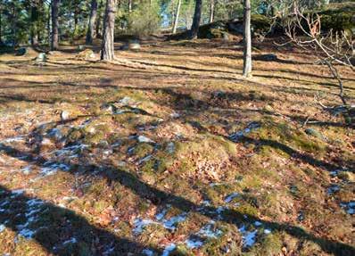 Del av gravfältet Jäder 159:1. Centralt i bilden syns A3.