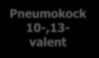 23-valent Hib Meningokock B Hepatit B (VLP) Stelkramp Tyfoid