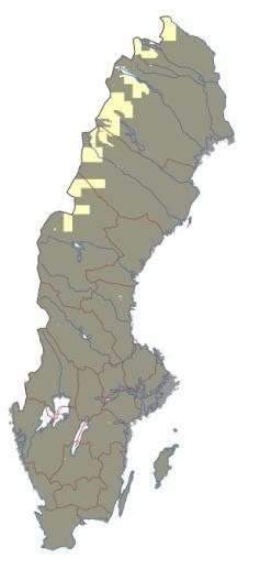 Symboler och täckning: Kartutsnitt Symbolsättning Täckningskarta Skala och noggrannhet: Begränsningar: Framtagning och underlag: Se framtagning och underlag Raviner med ett djup understigande ca 3 m