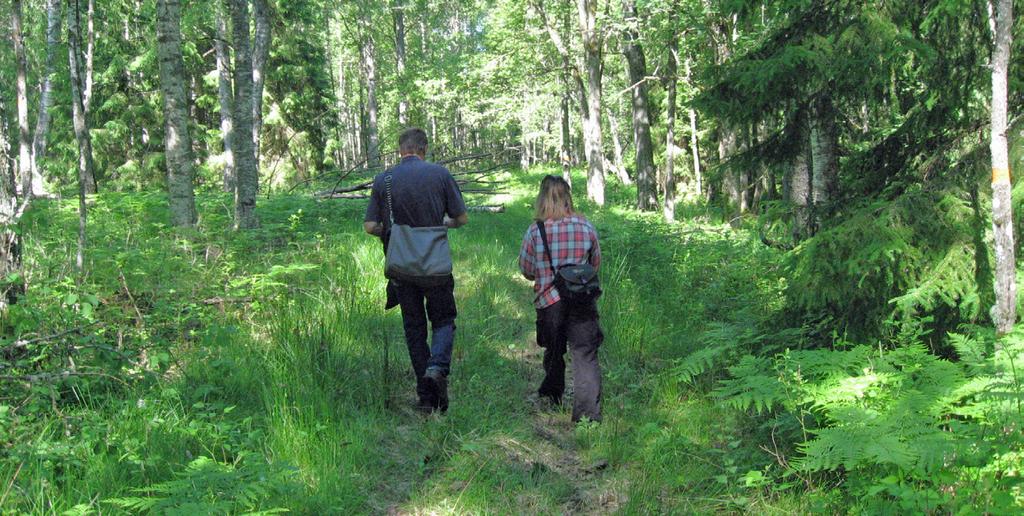 OM NIKLASDALS LÖVSKOG Naturreservatet Niklasdals lövskog består av 12 hektar lövskog med höga naturvärden. I reservatet finns en vandringsled, rastplatser, grillplats och informationstavla.