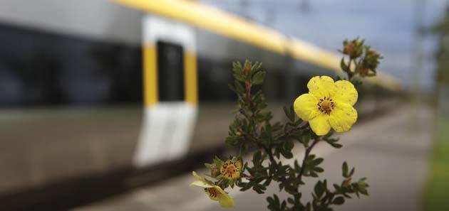 26 6 EFFEKTER OCH MÅLUPPFYLLELSE 6.
