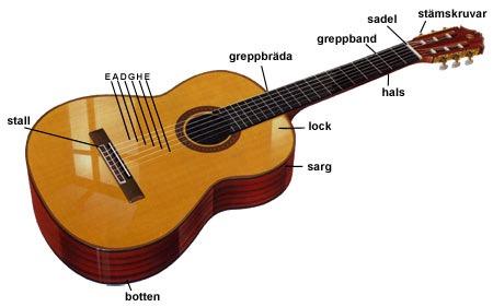 Stränginstrument Gitarr - Spelas genom att man knäpper eller drar med högerhandens fingrar över strängarna.