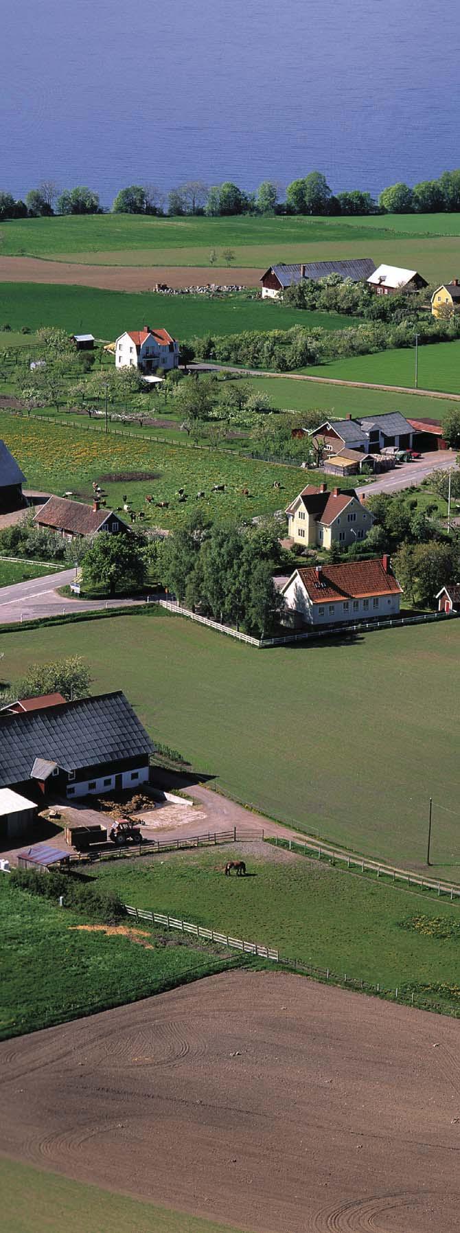 Mervärden