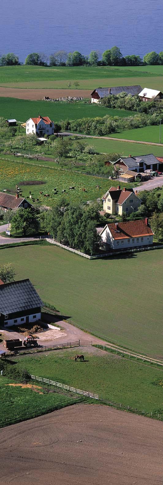 svenskt