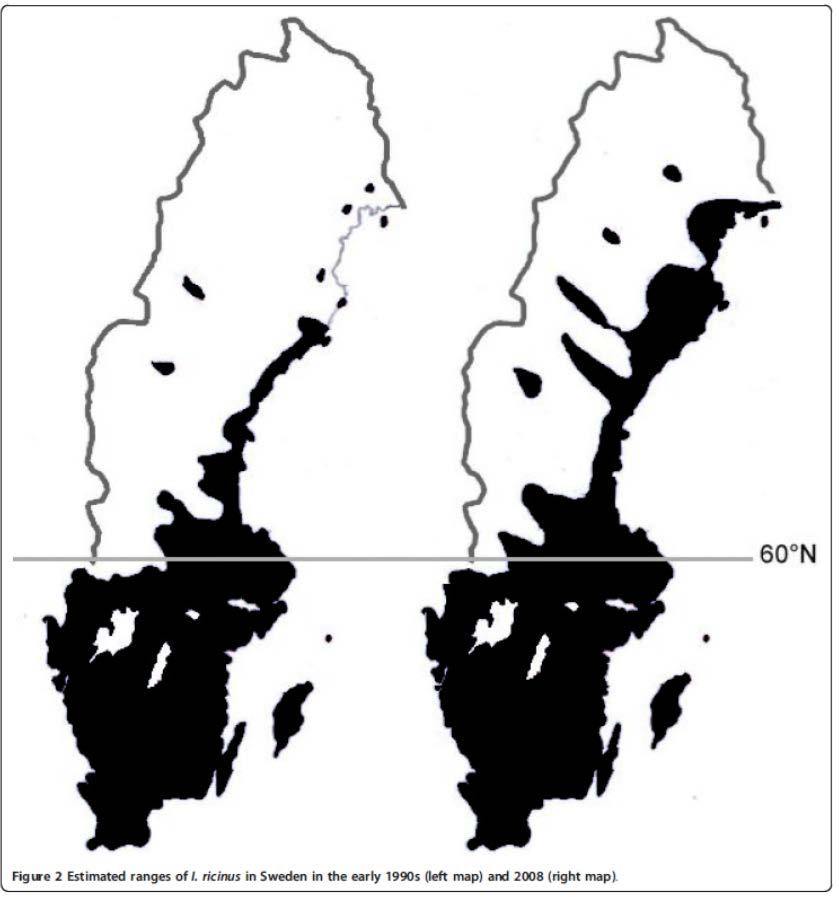 Ge information om ökad smittspridning; exempel