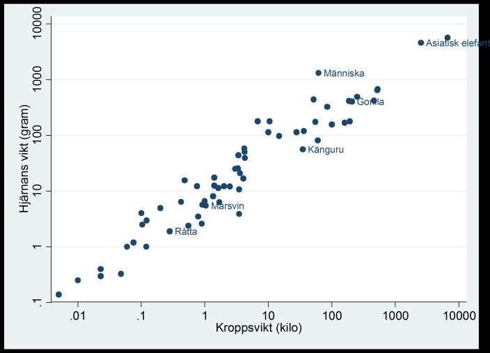När vi använder den logarimiska skalan för både kroppsvikt och hjärnans vikt så tänker vi oss att en viss procentuell förändring i kroppsvikt hänger samman med en viss procentuell förändring i