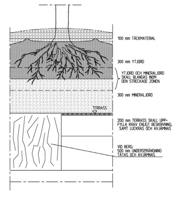 6.3.3 Växtbädd för träd och buskar i vegetationsyta Träd 100 mm TÄCKMATERIAL 300 mm YTJORD YTJORD OCH MINERALJORD SKALL BLANDAS INOM DEN STRECKADE ZONENEN 300 mm