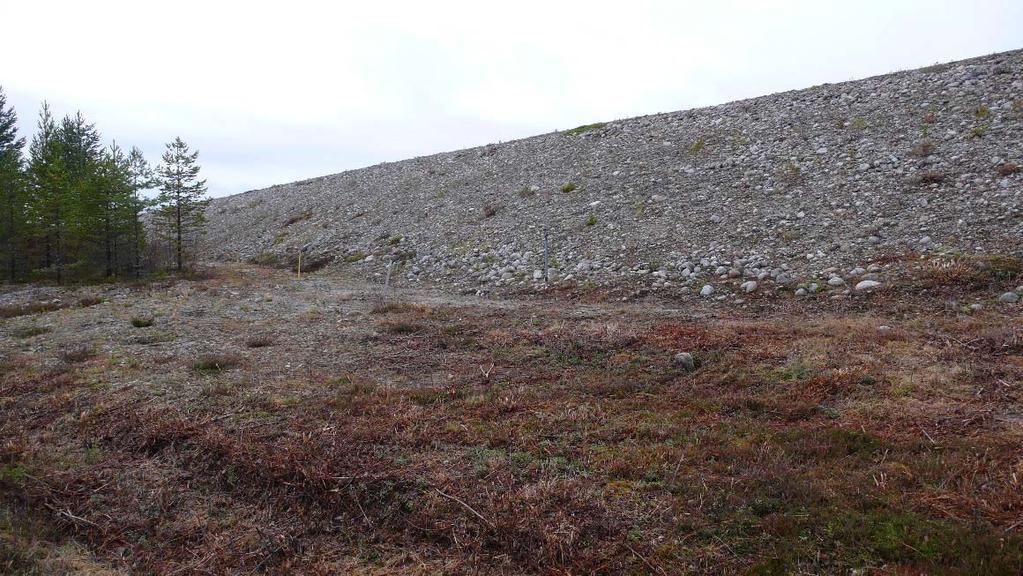 KONSEKVENSUTREDNING EXEMPEL 4 2017-01-01 3 (5) Figur 4. Kanaldammen sedd från nedströmssidan. Foto: Stina Åstrand Tabell 1. Huvuduppgifter för Kanalbanken.