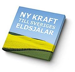 Är er förening redo för att utvecklas och växa? Vi kan hjälpa er! Vi vet att engagemang är avgörande för lokal utveckling. Vi vet också att eldsjälar ibland svalnar när syret minskar.