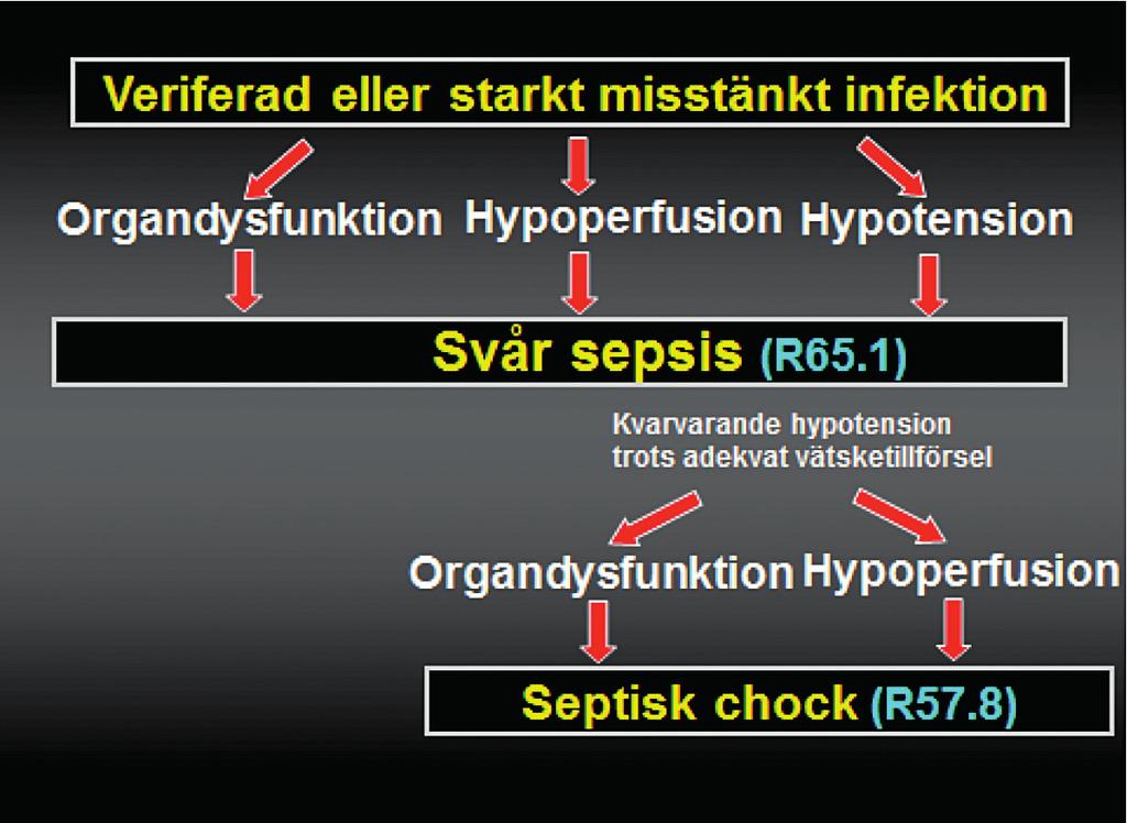 Svår sepsis och septisk chock - Definitioner, klinik och behandling - patofysiologiska aspekter - Hur kan vi påverka den inflammatoriska reaktionen?