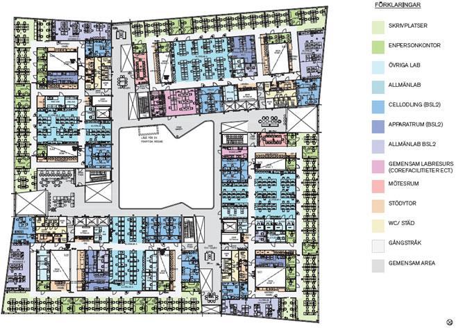 Biomedicum Arkitektritning över en våning med laboratorier fördelade i