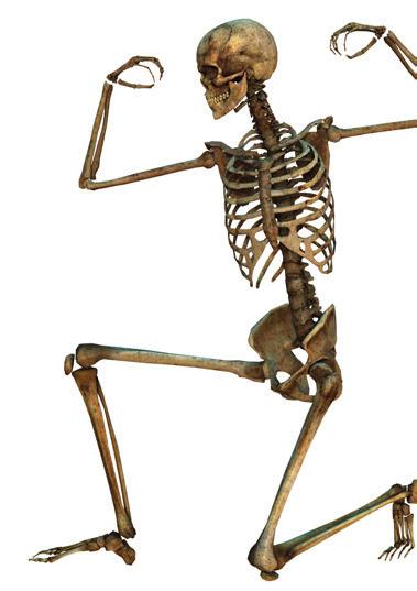 Den ny e Skelettet i käkar och annorstädes, del 6 Referenser 1. Dallas SL, Prideaux M, Bonewald LF. The osteocyte: an endocrine cell and more. Endocrine reviews 20