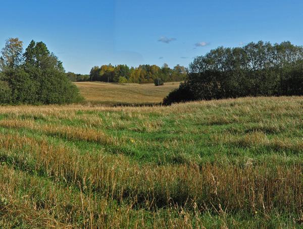 För 1-våningsbebyggelse gäller en högsta totalhöjd om 6 meter och för 2-vånings-bebyggelse tillåts 8 meter totalhöjd.