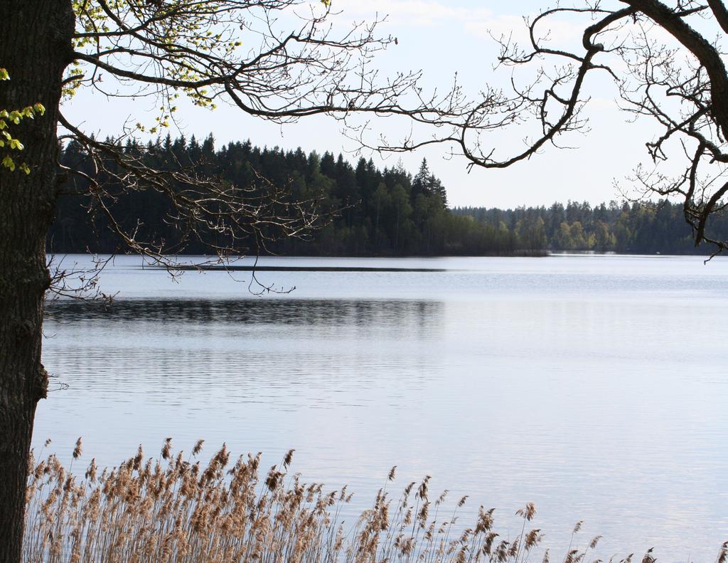 Turistguide Emmaboda I Nöjeshuset finns aktiviteter för alla, t ex golf. Foto: Shutterstock Härlig vy över sjön.