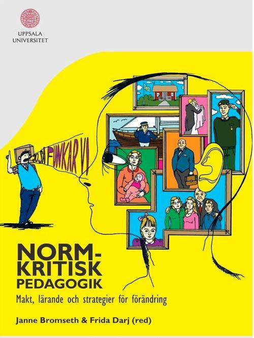 NORMKRITIKENS HISTORIA Ett redskap för att visa på hur olika normer samverkar och