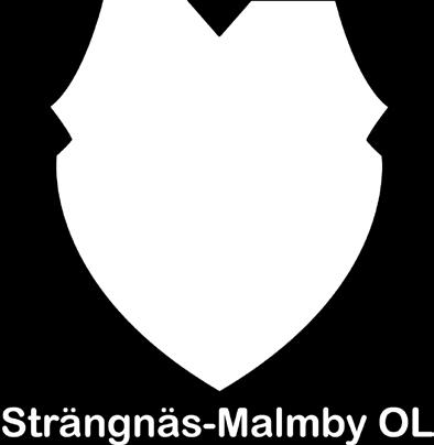 Verksamhetsberättelse