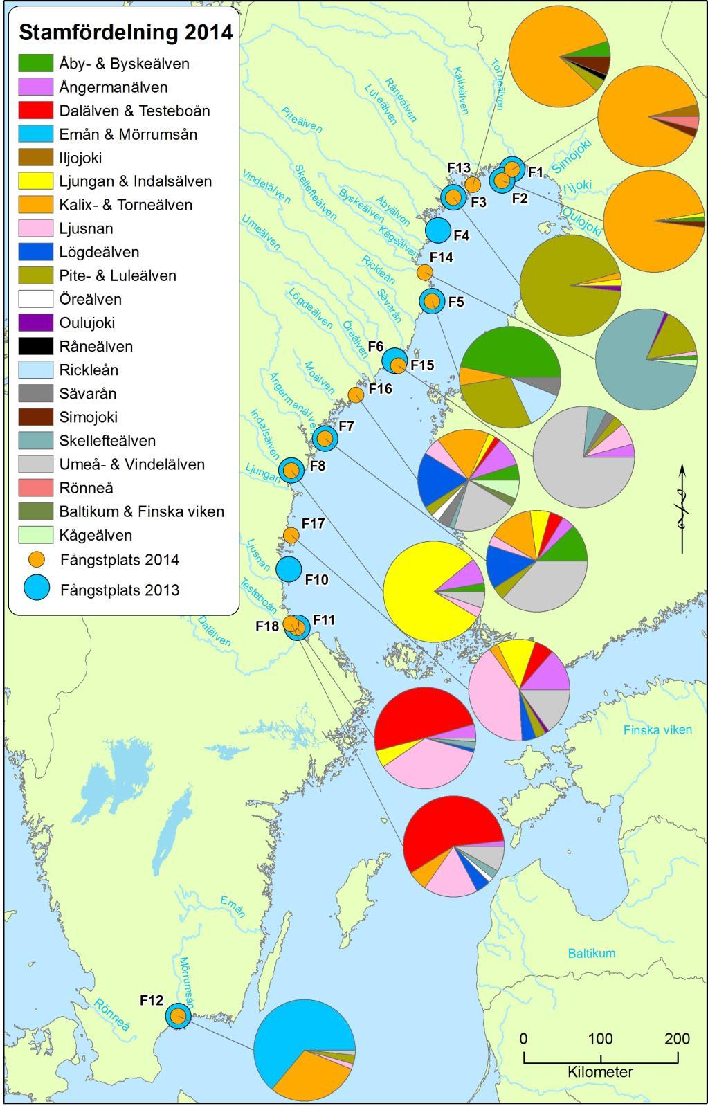 Figur 3. Fångstsammansättning i kustfisket 2014. Pajdiagrammen visar stamsammansättning baserat på Mixed Stock Analys (MSA).