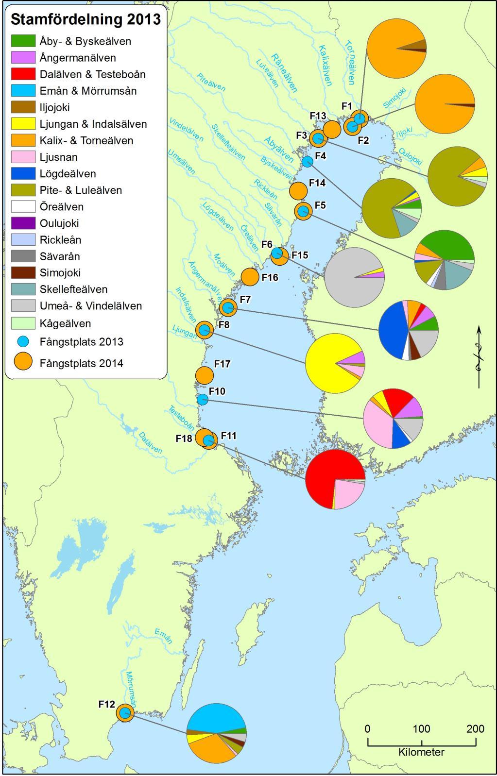 Figur 2. Fångstsammansättning i kustfisket 2013. Pajdiagrammen visar stamsammansättning baserat på Mixed Stock Analys (MSA).