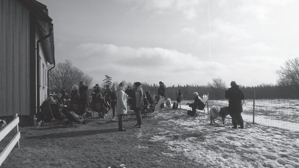 Eurasierträff på Ögärdet! Den 12 mars så var det åter dags för vår återkommande eurasierträff men denna gång hade vi bytt plats från Backa Loge till hemma hos oss på Ögärdet.