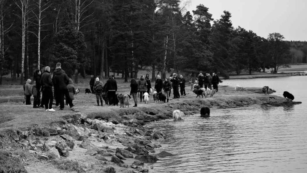 Träff i Brandalsund Lördagmorgon den 2 april började med en härlig soluppgång, men molnen hägrade tyvärr. Bara det inte började regna så gjorde det inget.