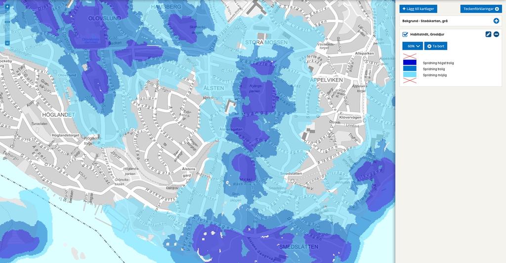 Spridningszon för salamandrar Stadsbyggnadskontoret har påpekat att skogsområdet söder om Västerled utgör en viktig spridningszon för