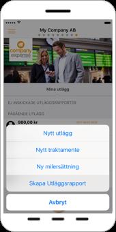 Fyll i rapportinformation och