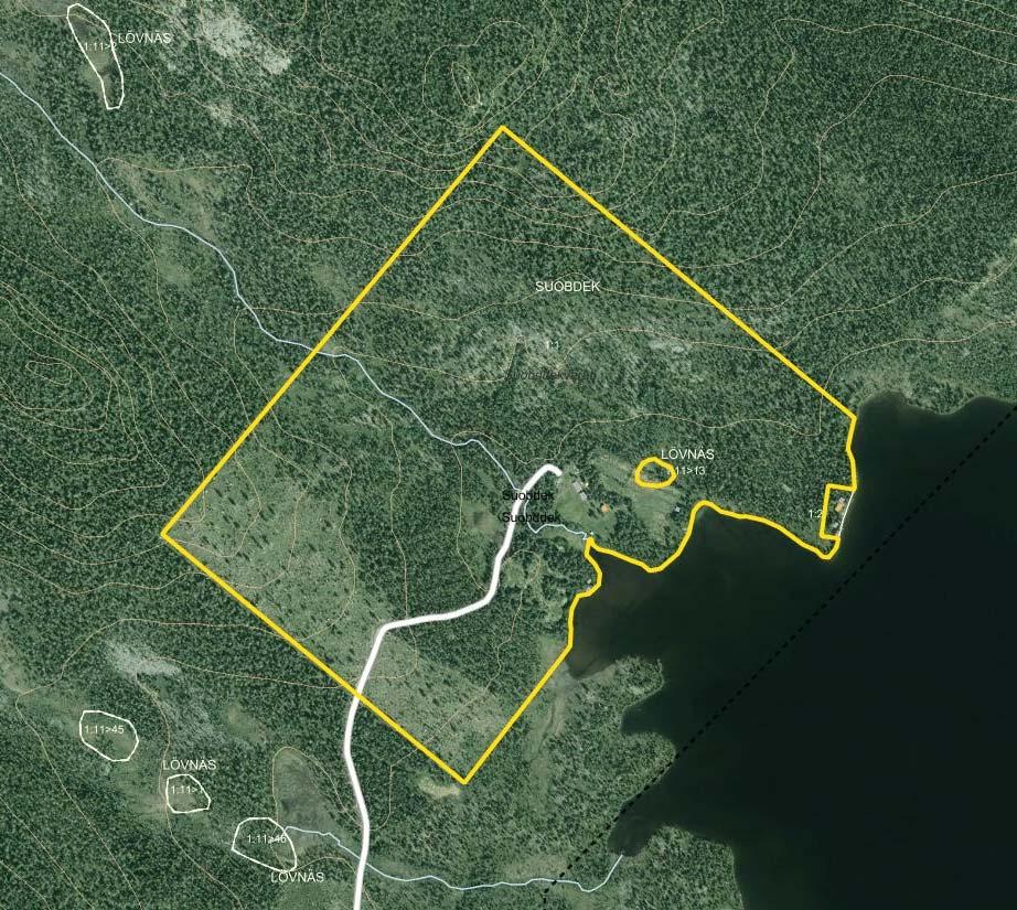 H H HH SKOGSKARTA Fastighet: Suobdek 1:1 Församling: Arjeplog Kommun: Arjeplog Län: Norrbottens län Upprättad år: 2017