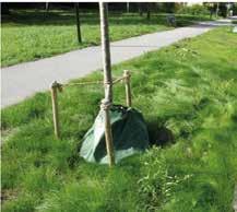 Växtsubstrat (makadam 2/6 mm med 25 volymprocent blandning av 1 del näringsberikad* biokol och 1 del kompost**) lagertjocklek för gräsyta 150 mm, för perenner och buskar 450 mm.