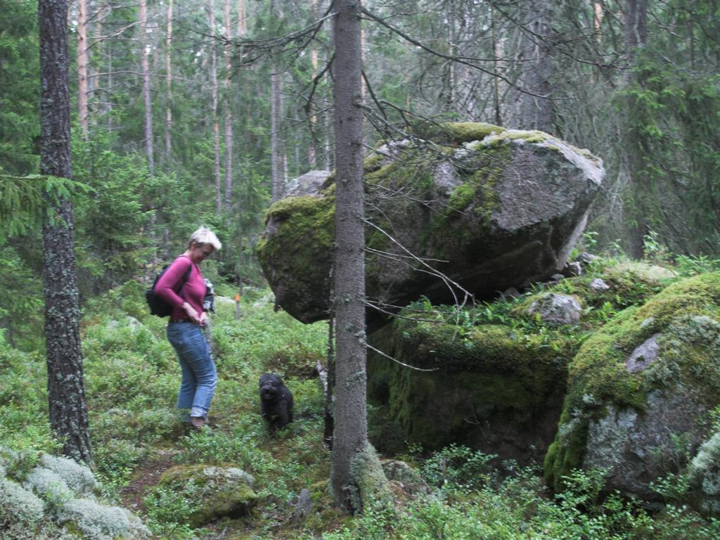 KAP 6. ALLMÄNNA INTRESSEN Kommunens ställningstagande, kommunikationer: Verka för att kommunens prioriteringar ovan avseende vägombyggnader/ förbättringar kan genomföras under planperioden.