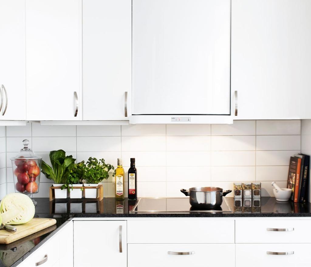 HomeEDITION FTX MiniMASTER by FLÄKT WOODS Fördelar med MiniMASTER Lätt att installera Mycket servicevänlig