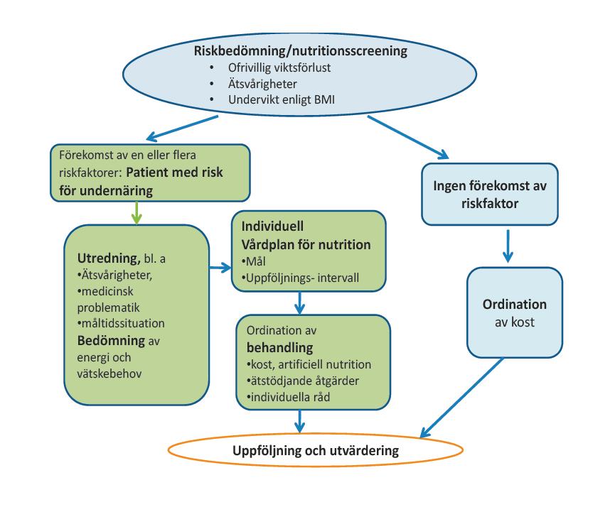 1 Nutritionsvårdsprocessen; verktyg för sjuksköterskor För att identifiera, bedöma, diagnostisera och behandla nutritionsproblem krävs en strukturerad process som följer samma struktur som en