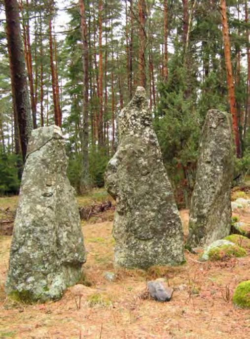 Foto: Enköpings kommun Skogen är