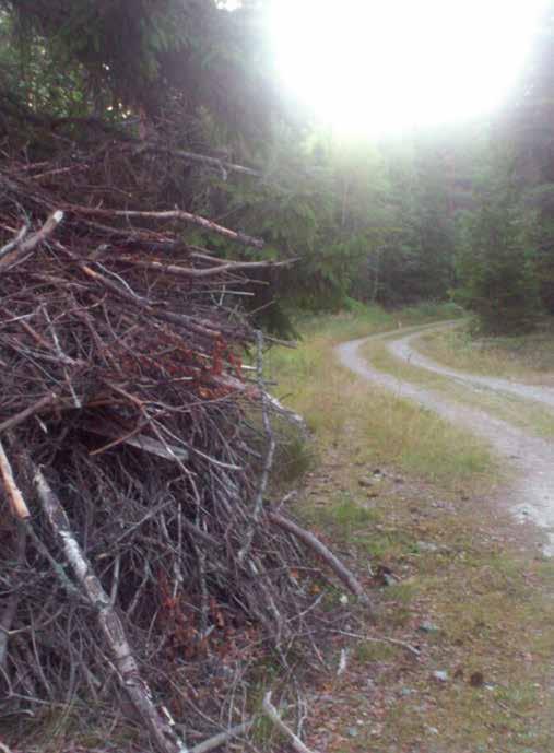 Foto: Enköpings kommun Följ den gamla