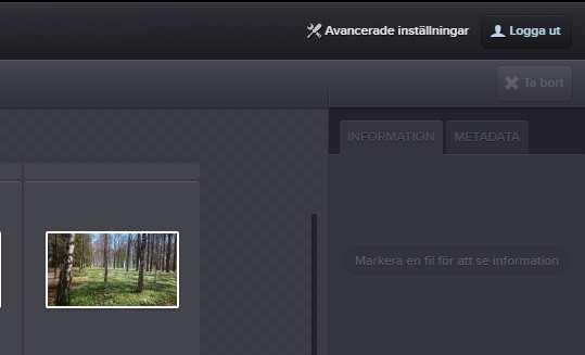 HITTA PÅ SIDAN För att ladda upp bilder klickar man på Importera. På Sök på metadata är sökmotorn på sidan. Bibliotek är där dom olika valven ligger. Under Kategorier ligger alla kategorierna.
