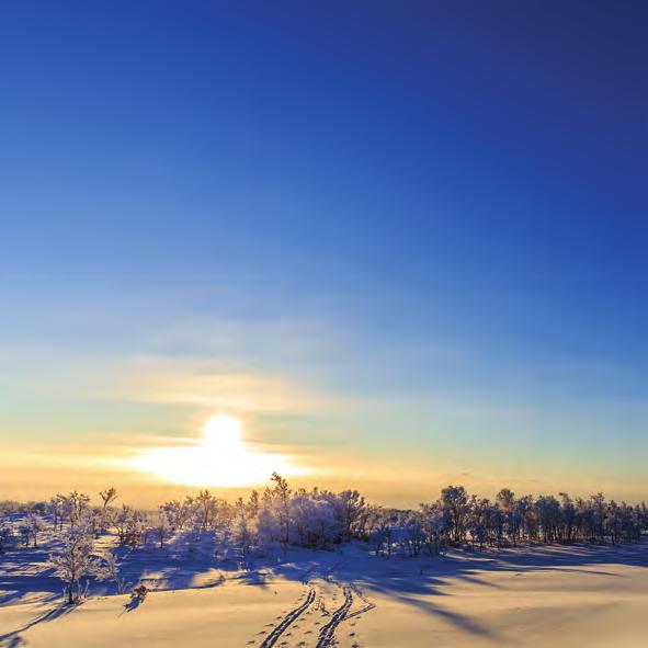 toppturer och turskidåkning i Funäsfjällen varje tisdag till fredag. Vi erbjuder turer för alla nivåer.