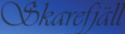 Fjällnäs Explore - examinerad fjälledare och godkänd lavintekniker. Mer information finns på www.facebook.com/fjallnasexplore.