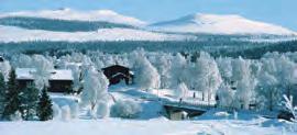 3.900 kr /pers Välkomna! Hotell Gyllene Bocken Herrgårdsvägen 5, Ljusnedal 0684-211 00 gyllenebocken.se Våffelvallen i Hamra serverar goda frasvåfflor och nybryggt kaffe Vi håller öppet kl 11.00-15.