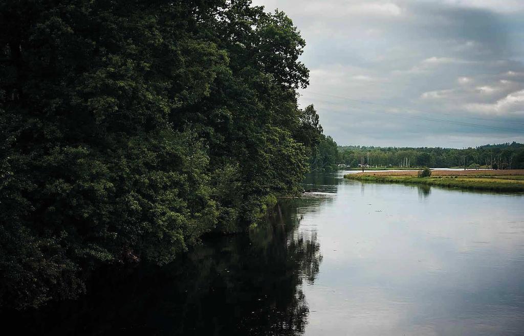 DEL 3 TÄTORTSREDOVISIG SKOGSBYGD 63 GODKÄD AV KOMMUSTYRELSE