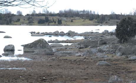 Östra Piren eller Brunnen i Ronneby. På Almö har restaureringsåtgärder vidtagits under de senaste årtiondena med avsikten att skapa ett mer öppet landskap.