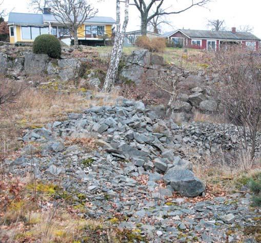 Vill man ha det tidigare stenbrottet mer öppet bör man ge sig in just i pionjärskedet och