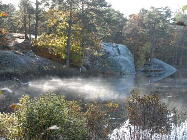 Rydéns park Rydéns park är ett innehållsrikt område på en viktig position intill Rydéns bostadsområde. Även Rydéns park har en bergsformation som kärna.