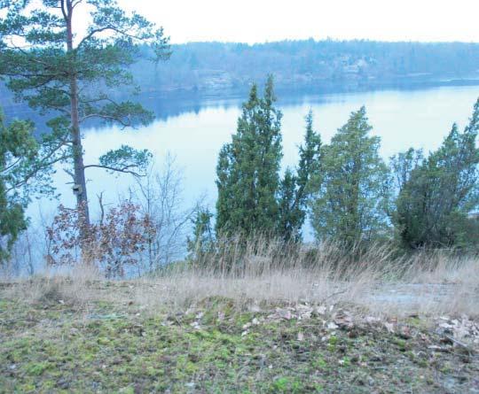 fram till strandkanten. Mot nordost fanns den nu rivna Härstorpsgården med trädgårdsmästeri som höll dalen där den låg öppen som jordbruksmark.