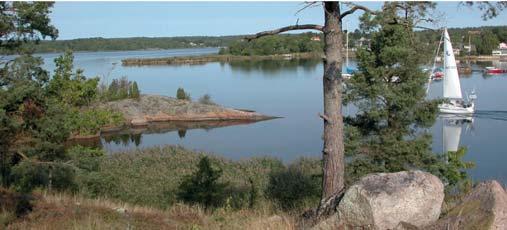 stadskärnan och Brunnen. Midsommarfi rande på Karön. Rietzka villan på Karön.