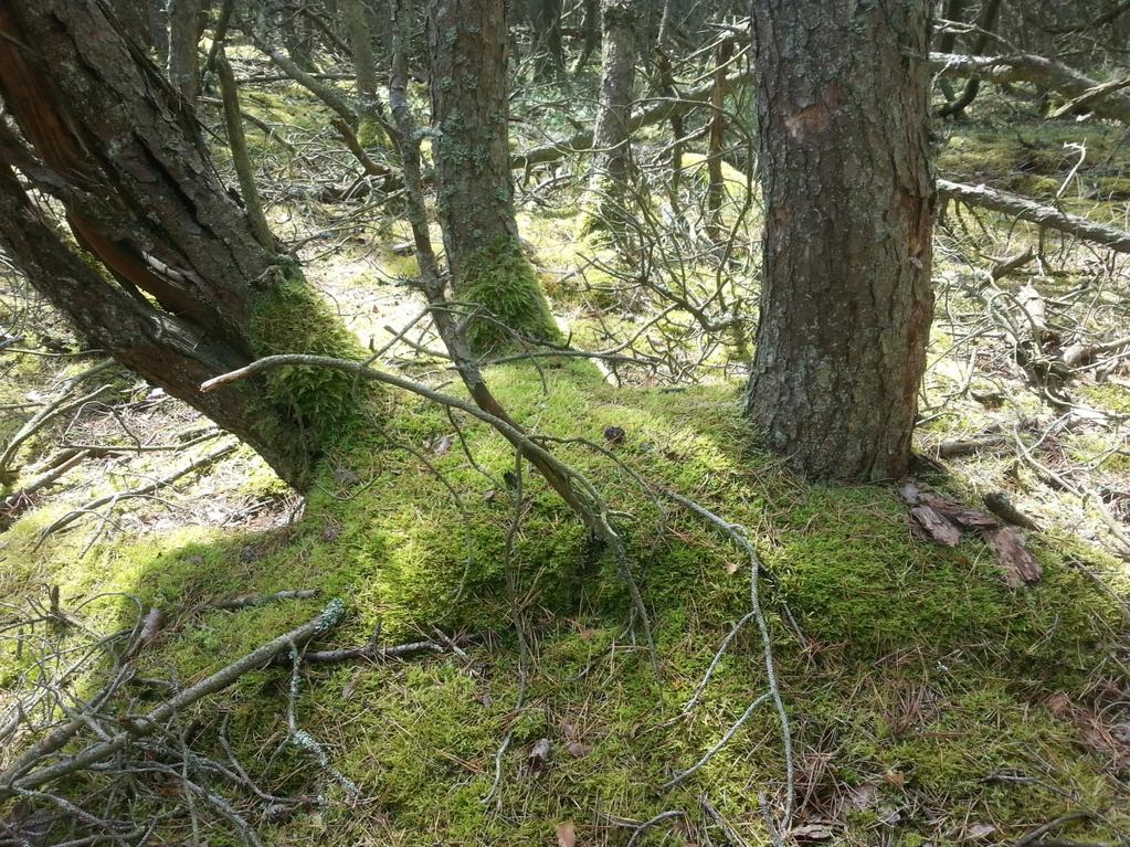 avdelning 10.