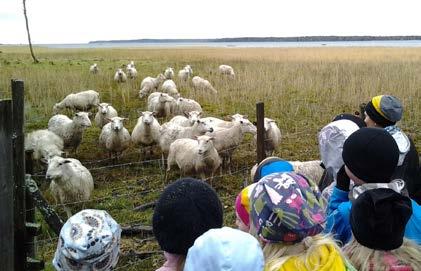 Programtjänster för lägerskolor och dagsutflykter Från programtabellen nedan kan ni plocka de program som passar bäst för er lägerskola.